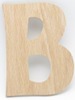 Oak Nursery Letters